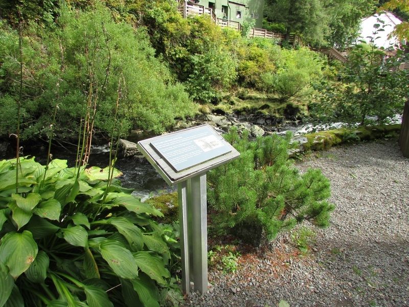 The Creek is the heart of the town Marker. Click for full size. The Creek is the heart of the town Marker image. Click for full size.