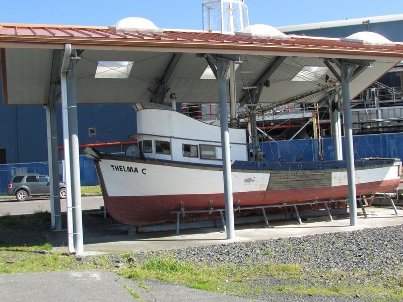 The Salmon Boat Thelma C. Click for full size. The Salmon Boat Thelma C image. Click for full size.