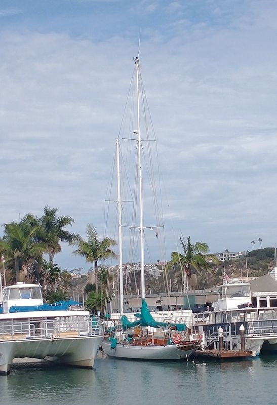 1926 Historic Schooner Curlew. Click for full size. 1926 Historic Schooner Curlew image. Click for full size.