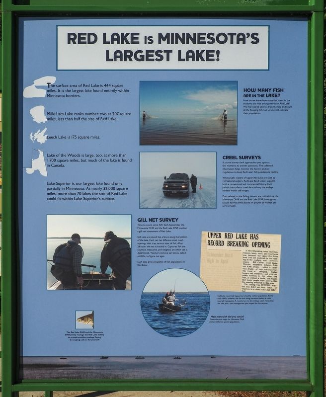 Red Lake is Minnesota's Largest Lake! / Flat Terrain Lets Water Pool Marker. Click for full size. Red Lake is Minnesota's Largest Lake! / Flat Terrain Lets Water Pool Marker image. Click for full size.
