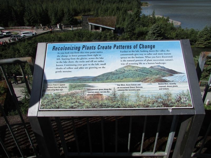 Recolonizing Plants Create Patterns of Change Marker image. Click for full size.