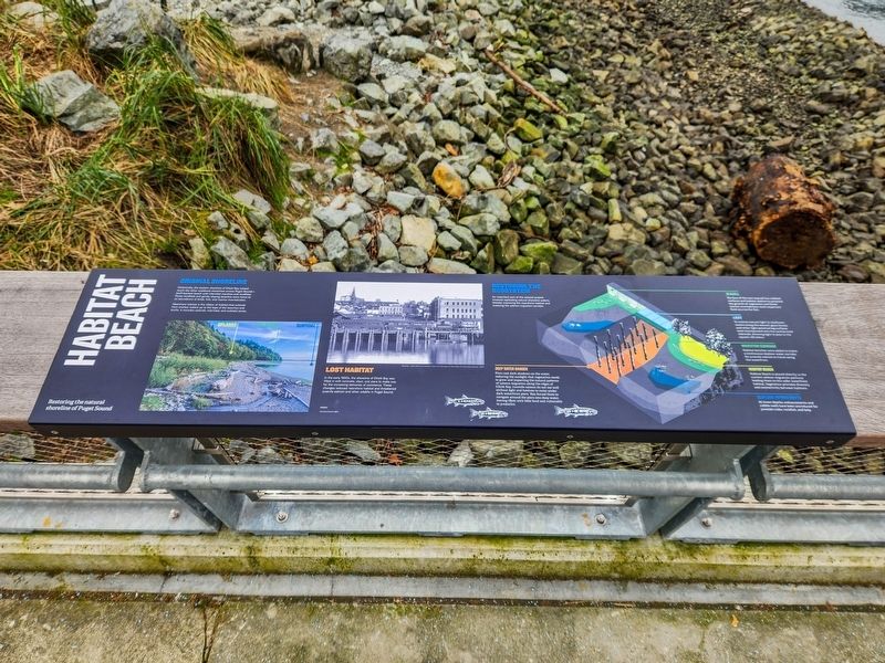 Habitat Beach Marker image. Click for full size.