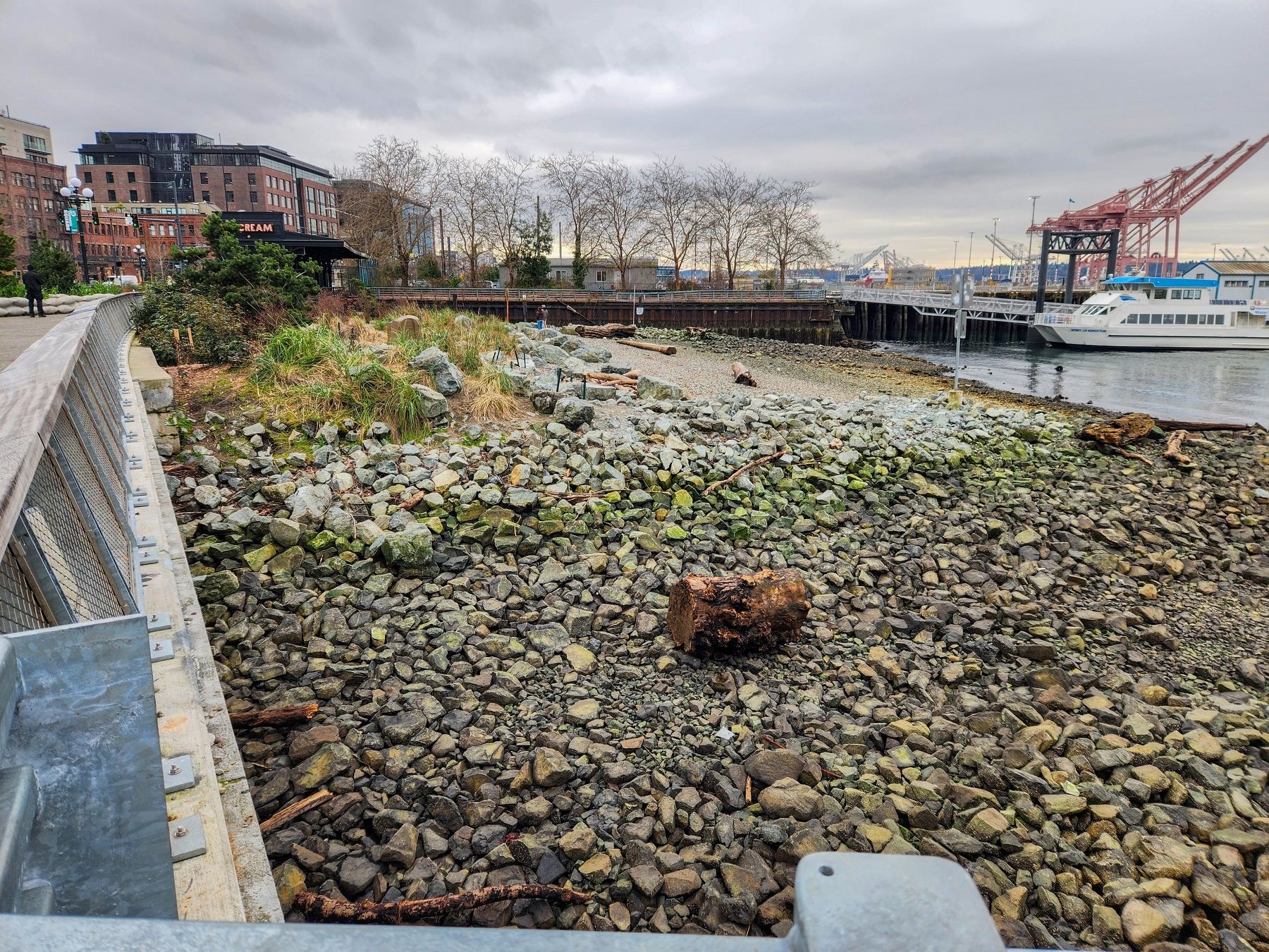Habitat Beach image. Click for full size.