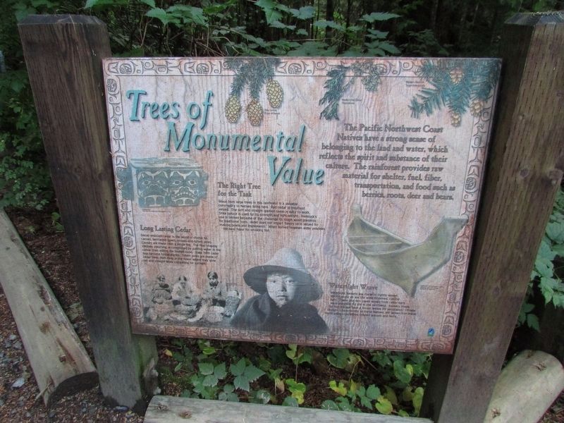 Trees of Monumental Value Marker. Click for full size. Trees of Monumental Value Marker image. Click for full size.