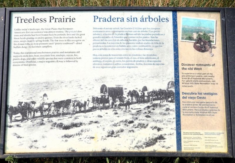 Treeless Prairie/Pradera sin árboles Marker. Click for full size. Treeless Prairie/Pradera sin árboles Marker image. Click for full size.