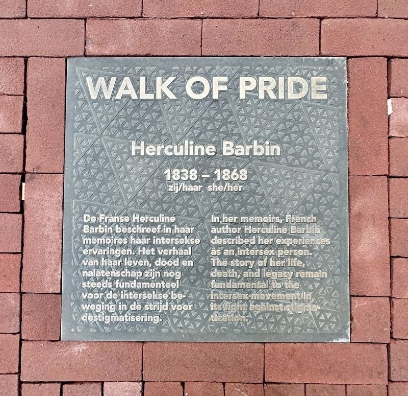 Herculine Barbin Marker. Click for full size. Herculine Barbin Marker image. Click for full size.