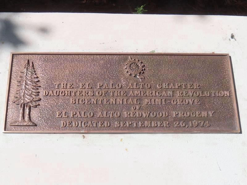 Tree Marker. Click for full size. Tree Marker image. Click for full size.
