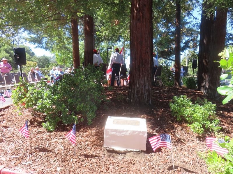 1974 Liberty Tree Grove Marker. Click for full size. 1974 Liberty Tree Grove Marker image. Click for full size.