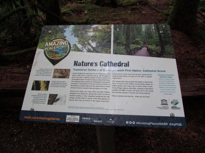 Nature’s Cathedral Marker. Click for full size. Nature’s Cathedral Marker image. Click for full size.