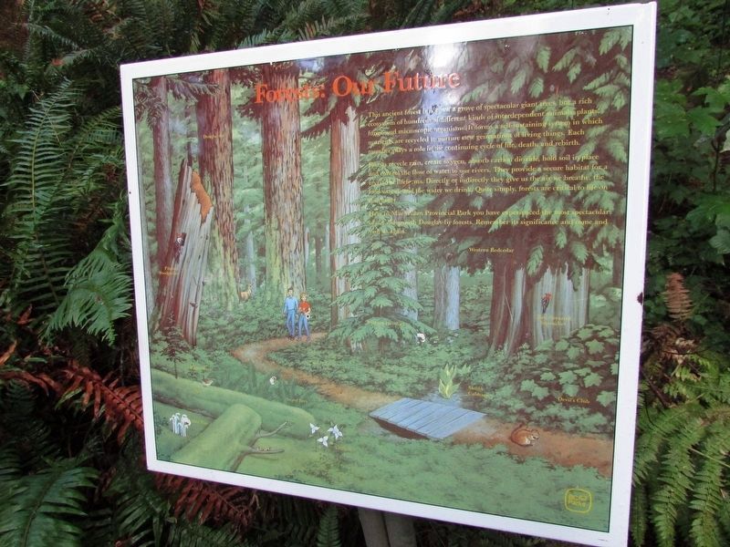 Forests: Our Future Marker. Click for full size. Forests: Our Future Marker image. Click for full size.
