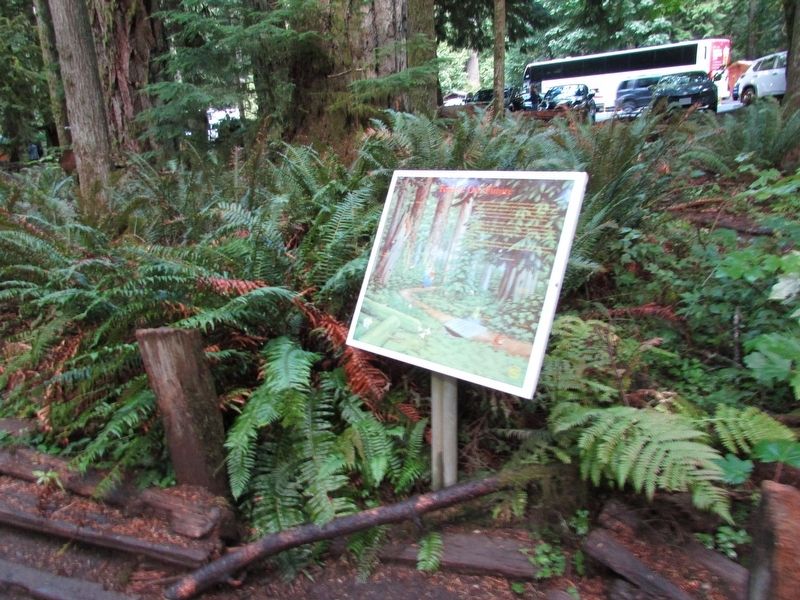 Forests: Our Future Marker. Click for full size. Forests: Our Future Marker image. Click for full size.