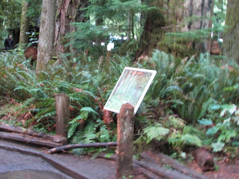 Forests: Our Future Marker. Click for full size. Forests: Our Future Marker image. Click for full size.
