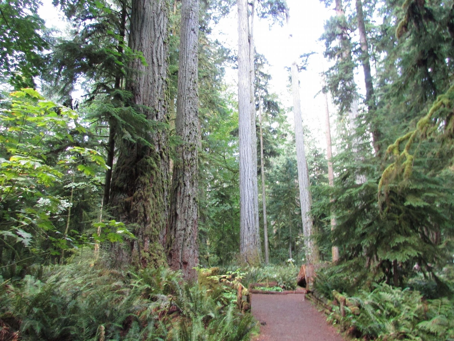 Cathedral Trail. Click for full size. Cathedral Trail image. Click for full size.