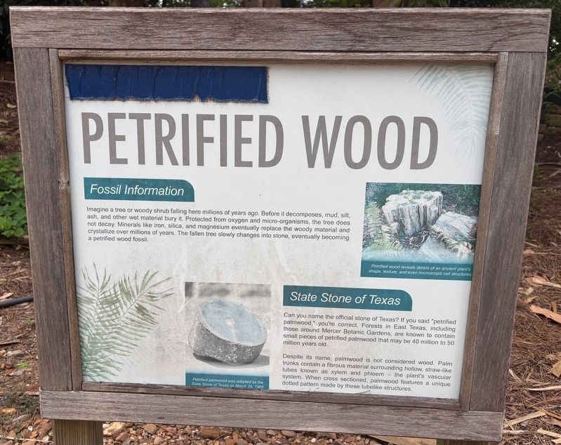 Petrified Wood Marker. Click for full size. Petrified Wood Marker image. Click for full size.