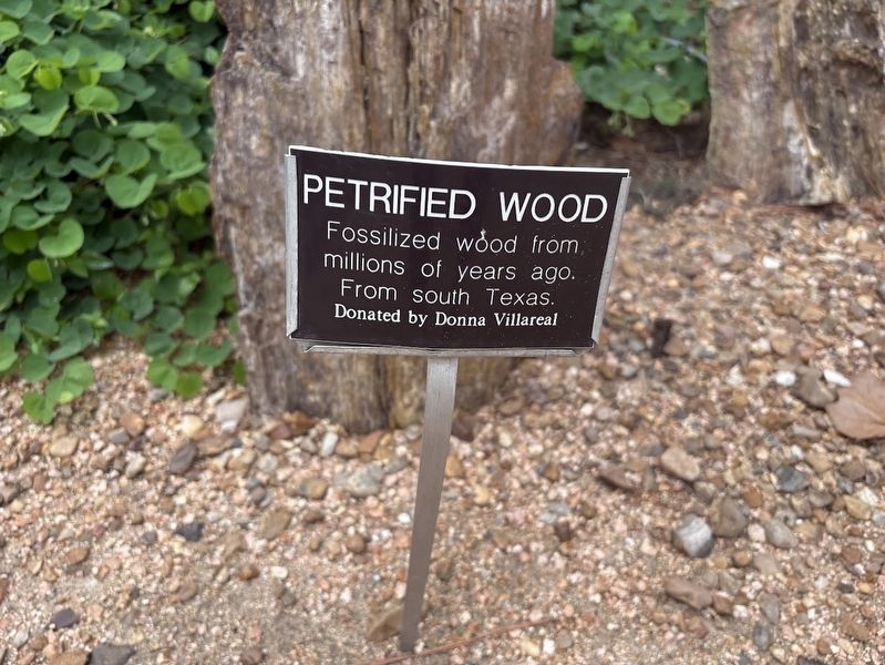 Petrified Wood Marker. Click for full size. Petrified Wood Marker image. Click for full size.