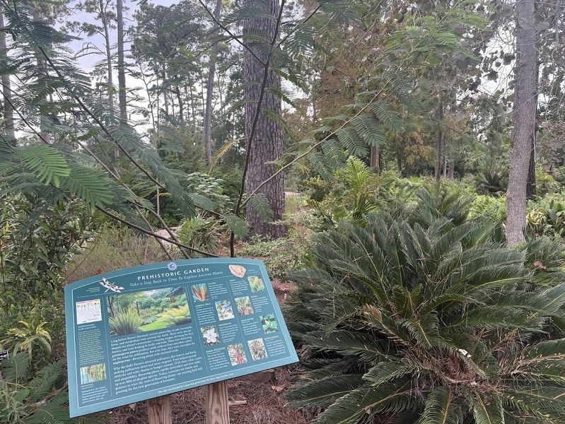 Prehistoric Garden Marker. Click for full size. Prehistoric Garden Marker image. Click for full size.
