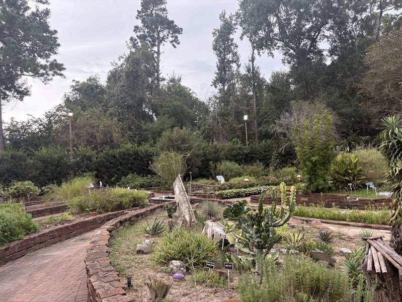 Mercer Botanic Gardens. Click for full size. Mercer Botanic Gardens image. Click for full size.