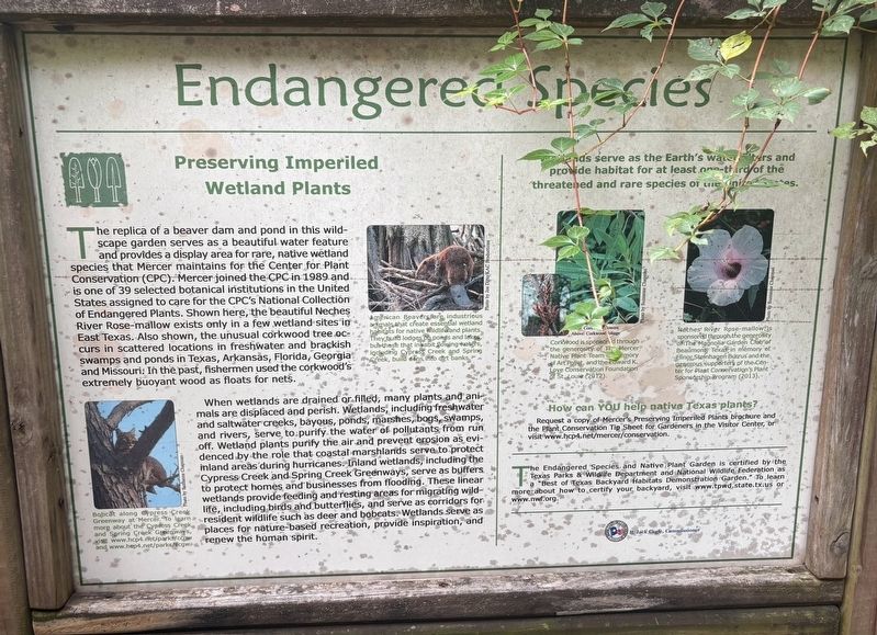 Endangered Species Marker image. Click for full size.
