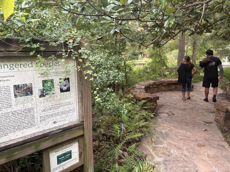 Endangered Species Garden at Mercer Botanic Gardens image. Click for full size.