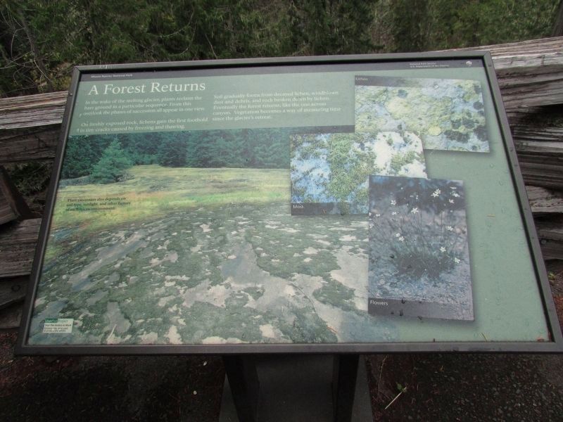 A Forest Returns Marker. Click for full size. A Forest Returns Marker image. Click for full size.