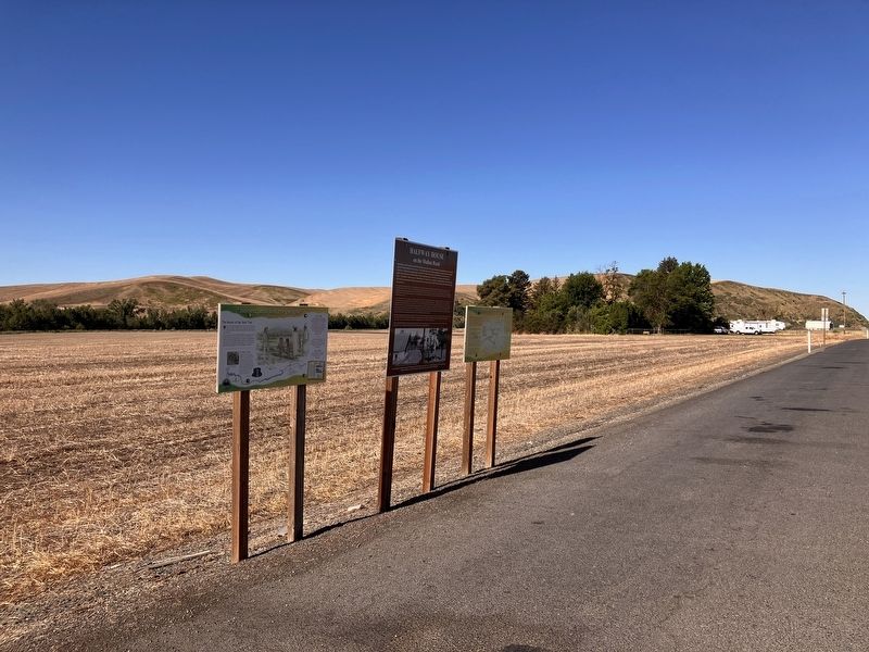 Cayuse, Umatilla, and Walla Walla Homeland Marker. Click for full size. Cayuse, Umatilla, and Walla Walla Homeland Marker image. Click for full size.