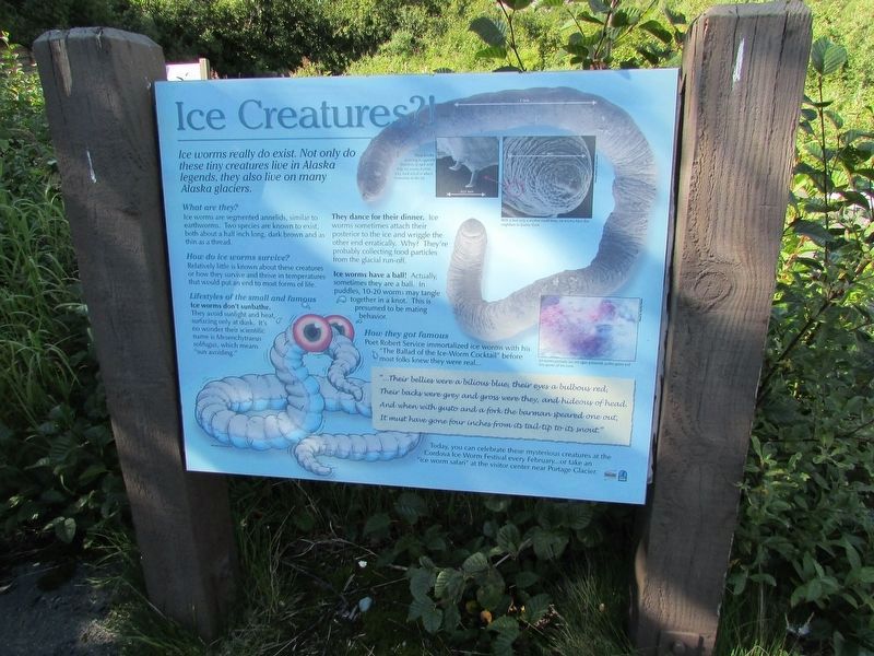 Ice Creatures?! Marker. Click for full size. Ice Creatures?! Marker image. Click for full size.