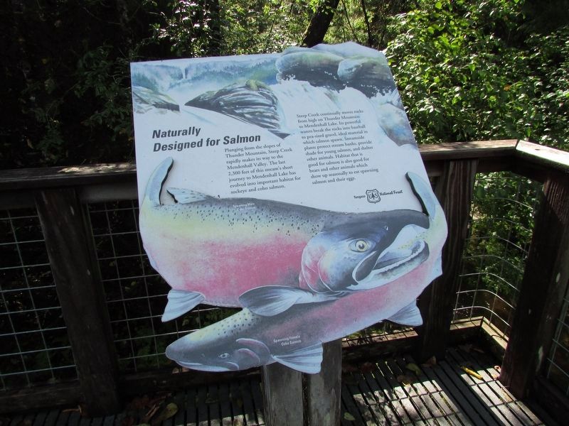 Naturally Designed for Salmon Marker. Click for full size. Naturally Designed for Salmon Marker image. Click for full size.