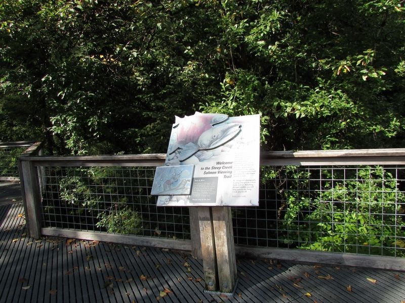 Naturally Designed for Salmon Marker. Click for full size. Naturally Designed for Salmon Marker image. Click for full size.