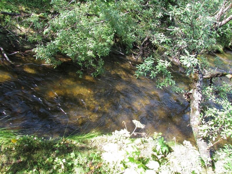 Steep Creek. Click for full size. Steep Creek image. Click for full size.