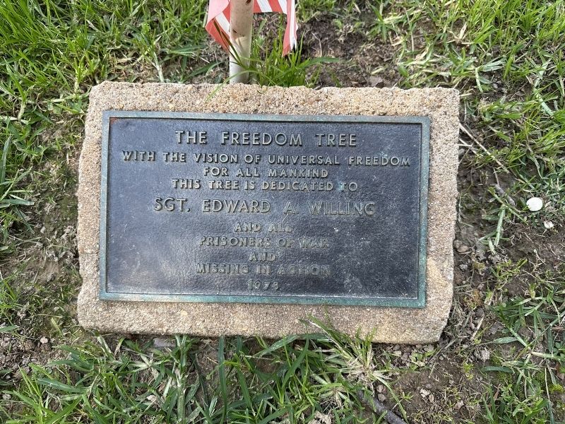 The Freedom Tree Marker. Click for full size. The Freedom Tree Marker image. Click for full size.