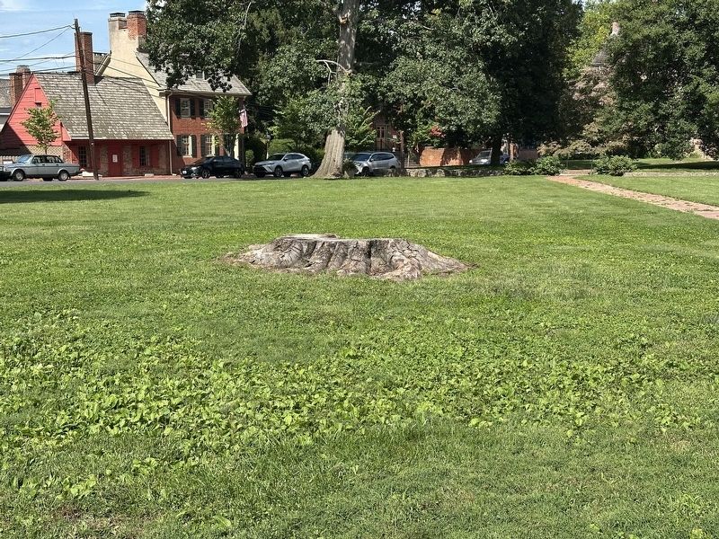 The Freedom Tree Marker - the stump. Click for full size. The Freedom Tree Marker - the stump image. Click for full size.