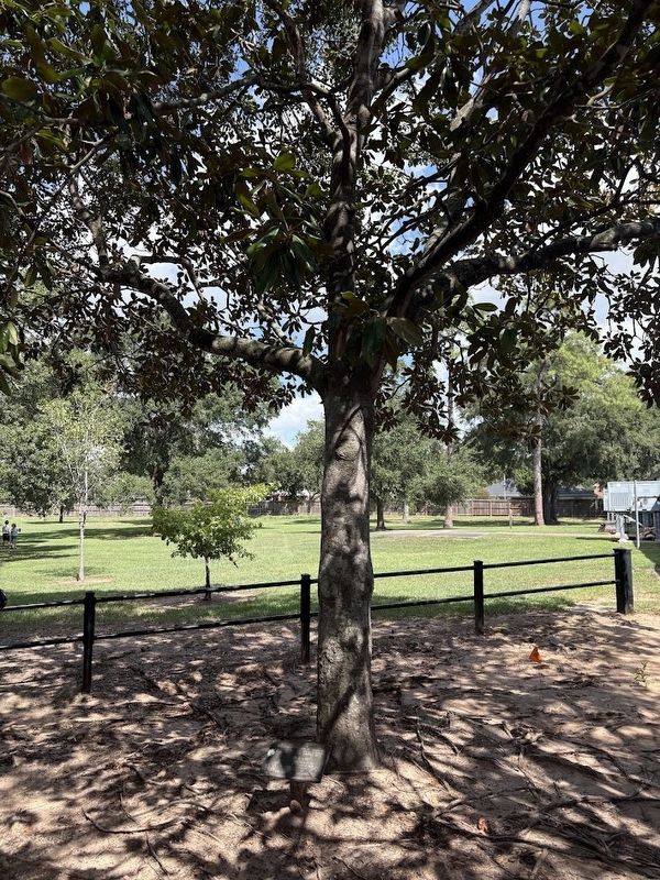 George H. Lee Marker near VFW Park in Katy. Click for full size. George H. Lee Marker near VFW Park in Katy image. Click for full size.
