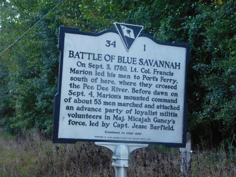 Battle of Blue Savannah Marker. Click for full size. Battle of Blue Savannah Marker image. Click for full size.