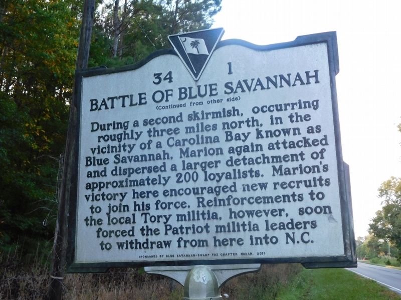 Battle of Blue Savannah Marker. Click for full size. Battle of Blue Savannah Marker image. Click for full size.