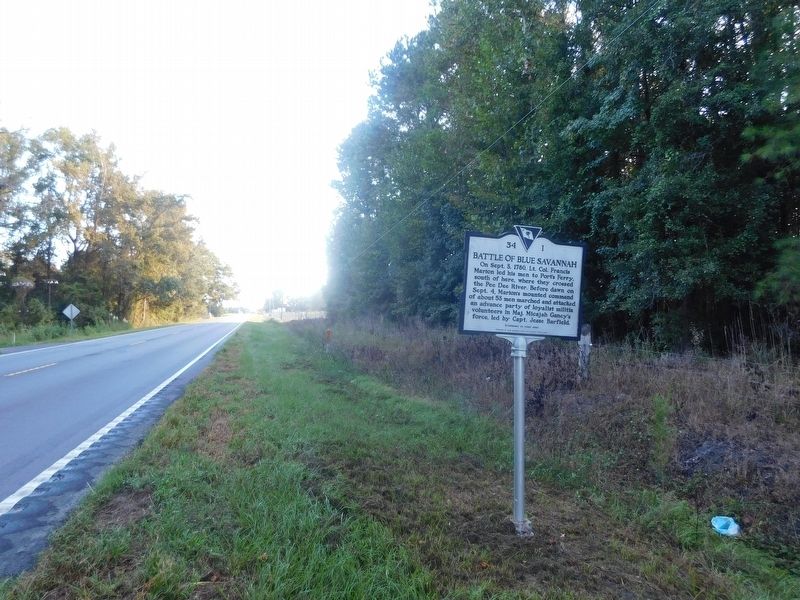 Battle of Blue Savannah Marker. Click for full size. Battle of Blue Savannah Marker image. Click for full size.