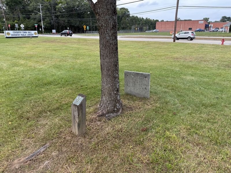 American Liberty Elm Marker. Click for full size. American Liberty Elm Marker image. Click for full size.