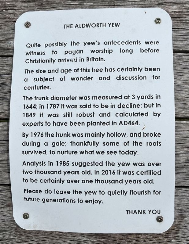 The Aldworth Yew Marker. Click for full size. The Aldworth Yew Marker image. Click for full size.