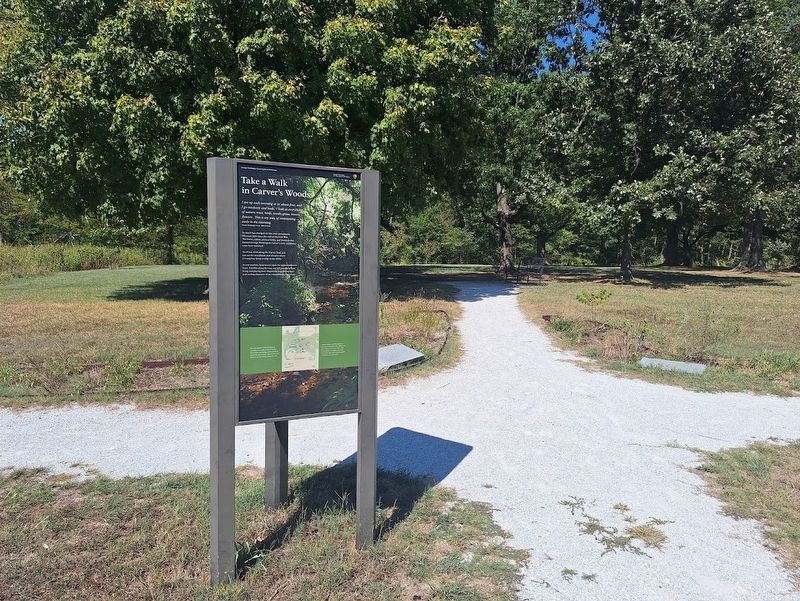 Take a Walk in Carver's Woods Marker. Click for full size. Take a Walk in Carver's Woods Marker image. Click for full size.