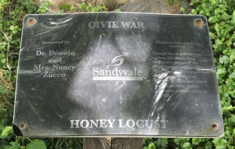 Civil War | Honey Locust Marker. Click for full size. Civil War | Honey Locust Marker image. Click for full size.