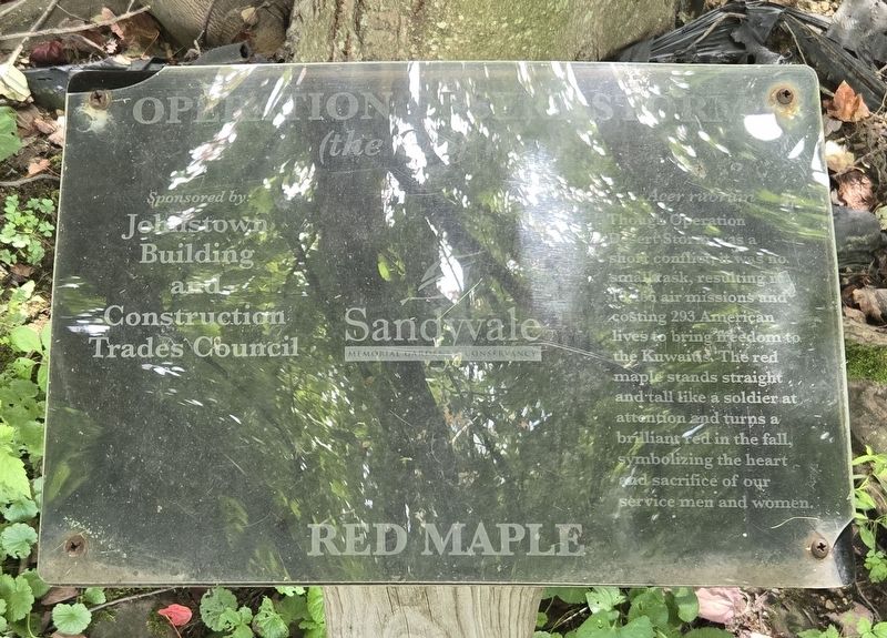 Operation Desert Storm <i>(the Gulf War)</i> | Red Maple Marker. Click for full size. Operation Desert Storm <i>(the Gulf War)</i> | Red Maple Marker image. Click for full size.