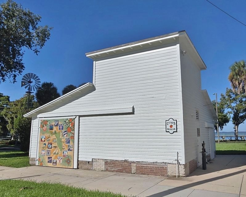 Citrus Museum image. Click for full size.