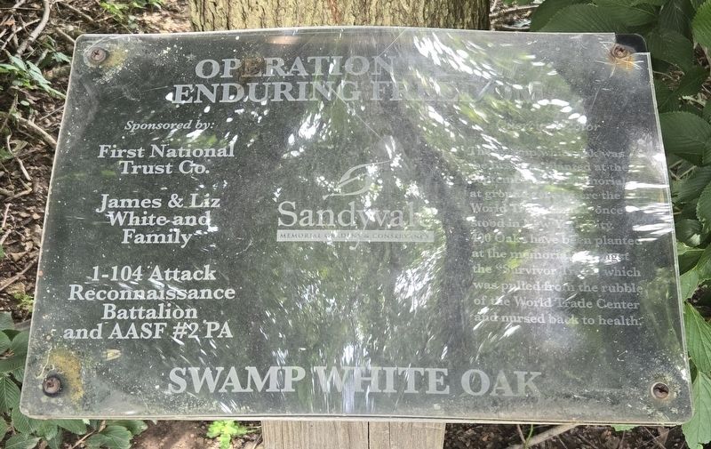 Operation Iraqi/Enduring Freedom | Swamp White Oak Marker. Click for full size. Operation Iraqi/Enduring Freedom | Swamp White Oak Marker image. Click for full size.