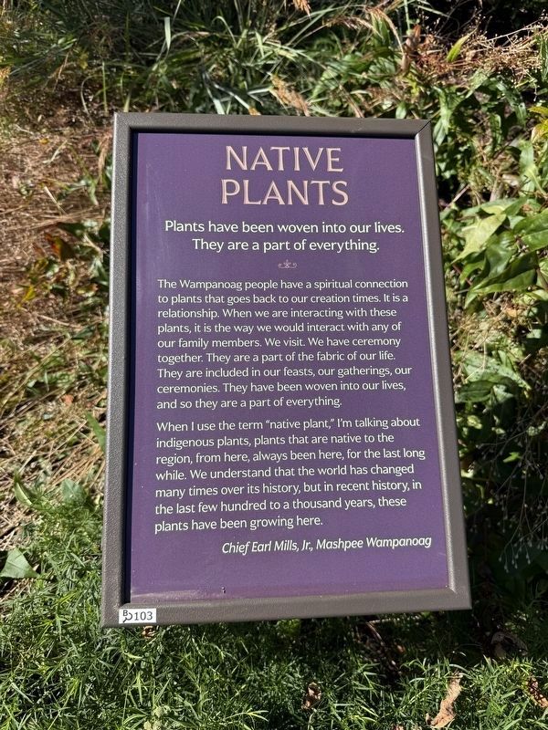Native Plants Marker. Click for full size. Native Plants Marker image. Click for full size.