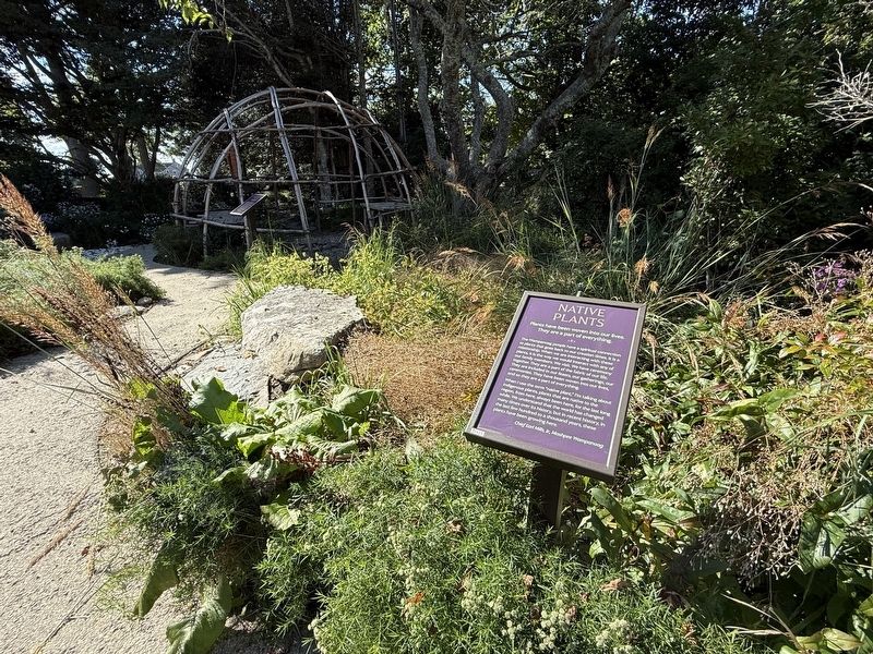 Native Plants Marker. Click for full size. Native Plants Marker image. Click for full size.