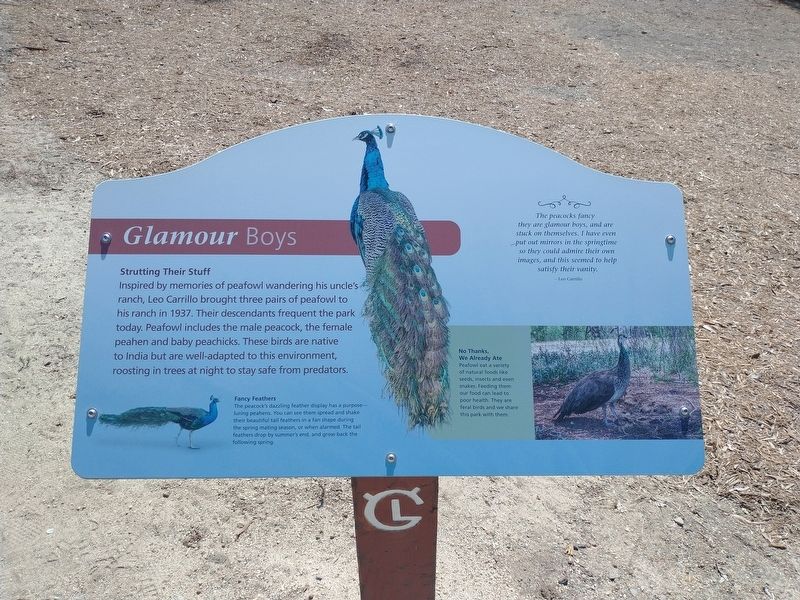 Glamour Boys Marker. Click for full size. Glamour Boys Marker image. Click for full size.