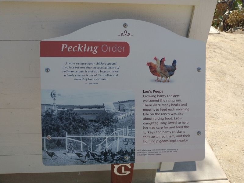 Pecking Order Marker. Click for full size. Pecking Order Marker image. Click for full size.