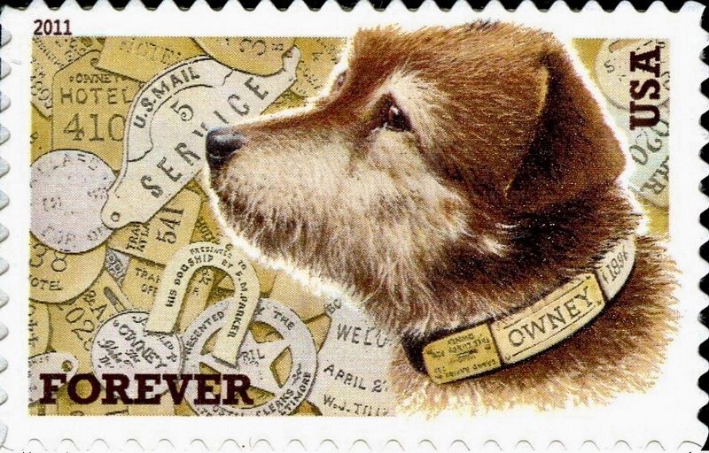 Owney the postal dog. Click for full size. Owney the postal dog image. Click for full size.
