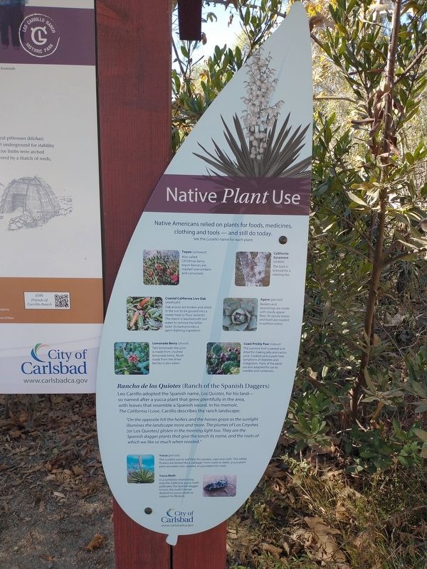 Native Plant Use. Click for full size. Native Plant Use image. Click for full size.