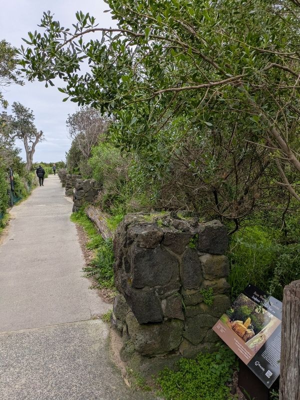 Boon Wurrung Blossom Marker along the trail image. Click for full size.