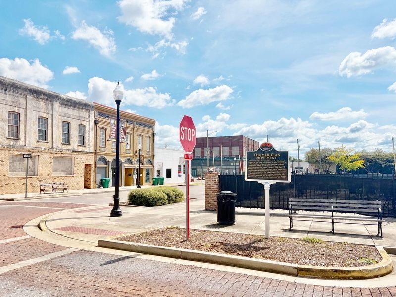 The Meridian Movement Marker. Click for full size. The Meridian Movement Marker image. Click for full size.